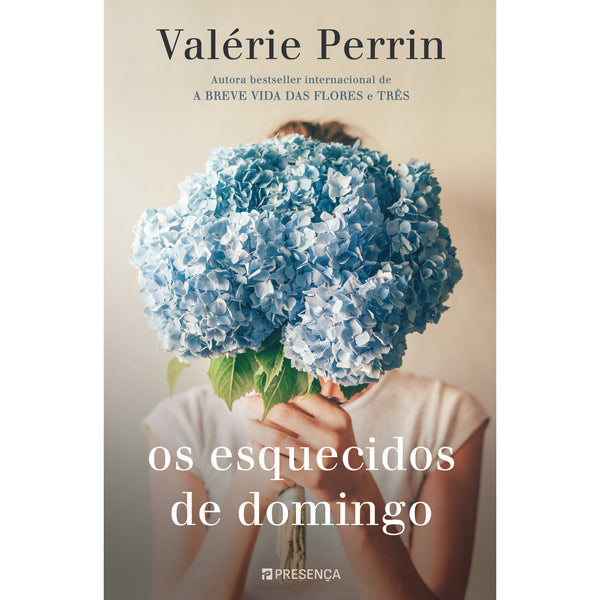 Os Esquecidos de Domingo de Valerie Perrin