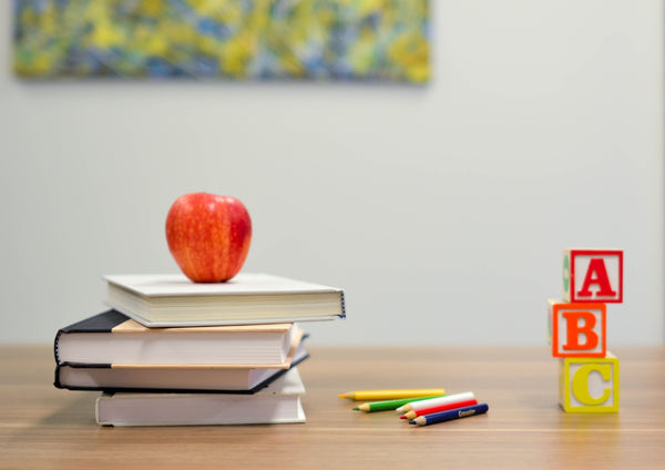 Manuais escolares: 3 ideias de como aproveitar os manuais em período de férias!