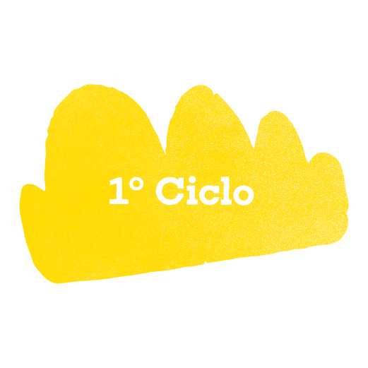Apoio Escolar - 1º Ciclo