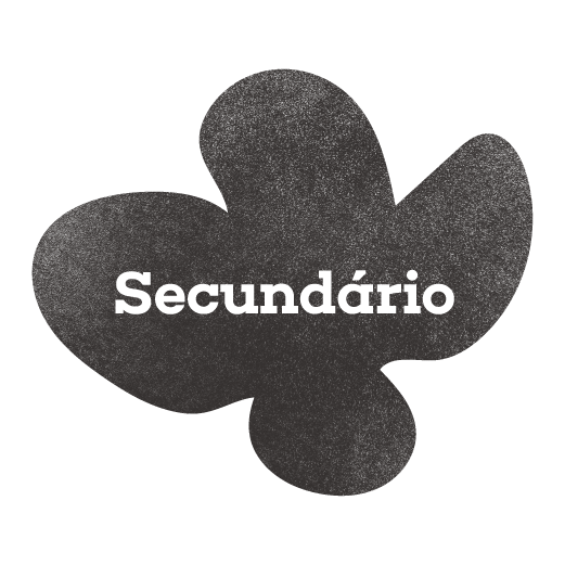 Apoio Escolar - Secundário