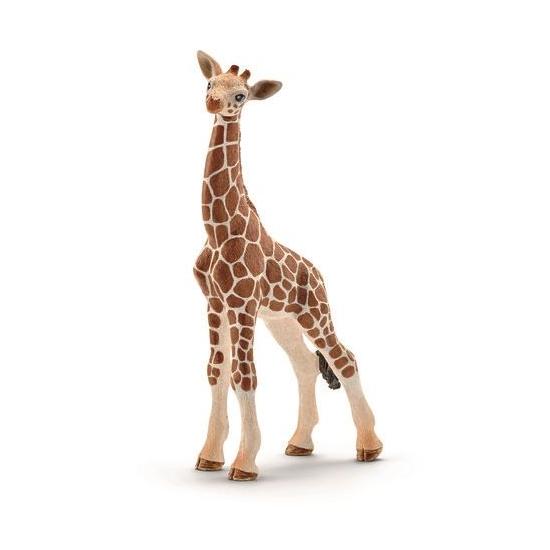 Girafa Cria