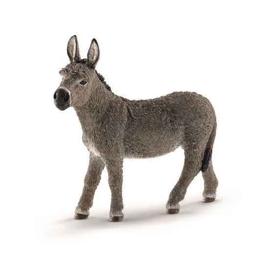 Burro