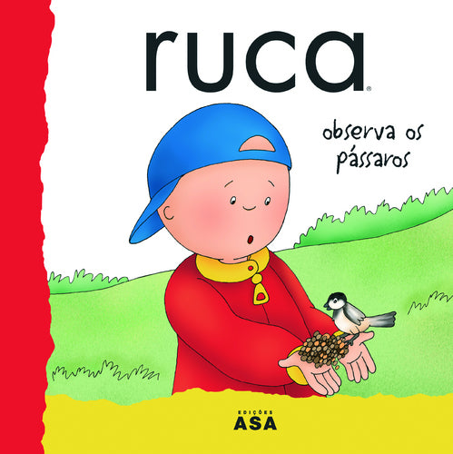 Ruca Observa os Pássaros