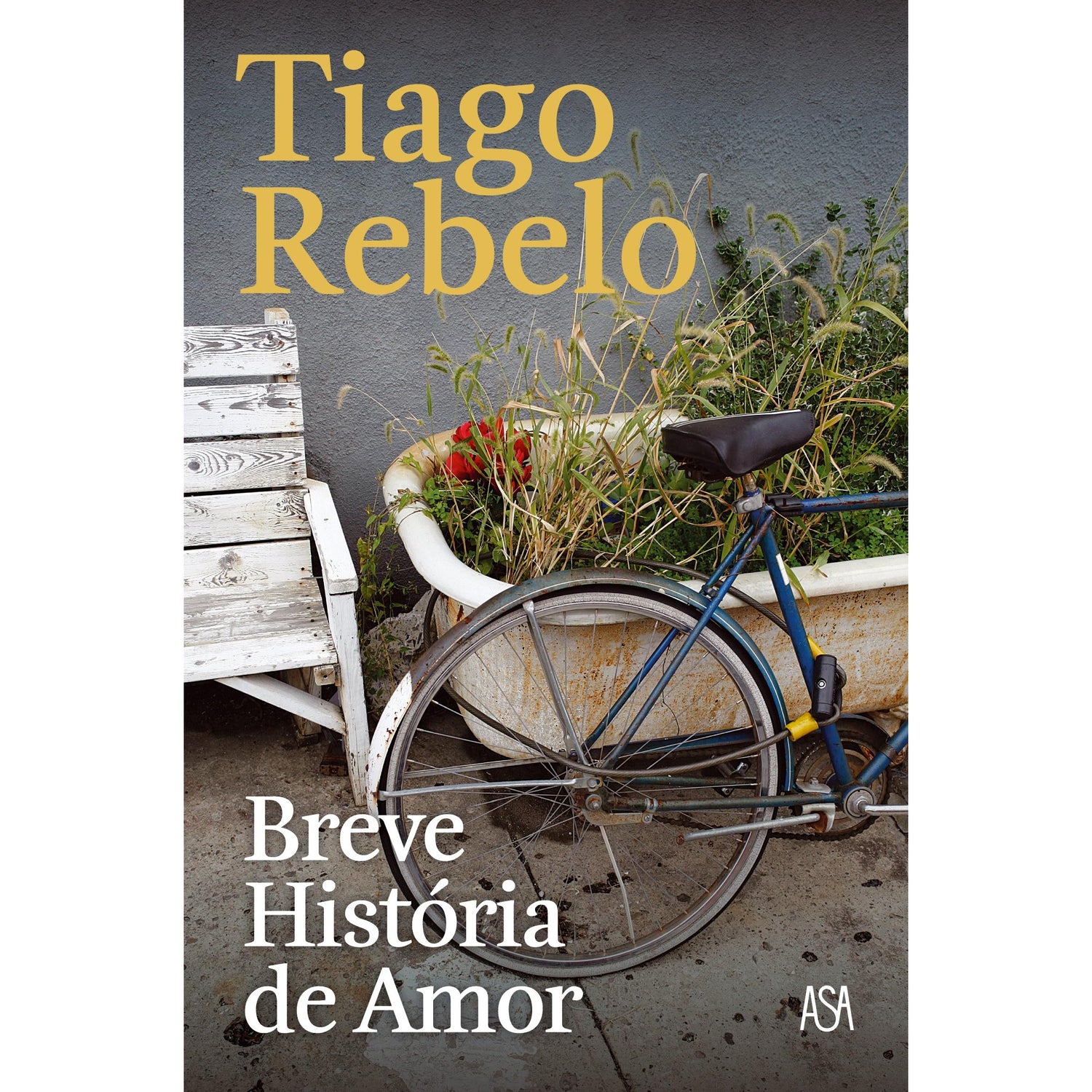 Breve História de Amor de Tiago Rebelo