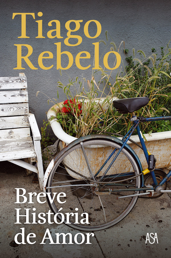 Breve História de Amor de Tiago Rebelo