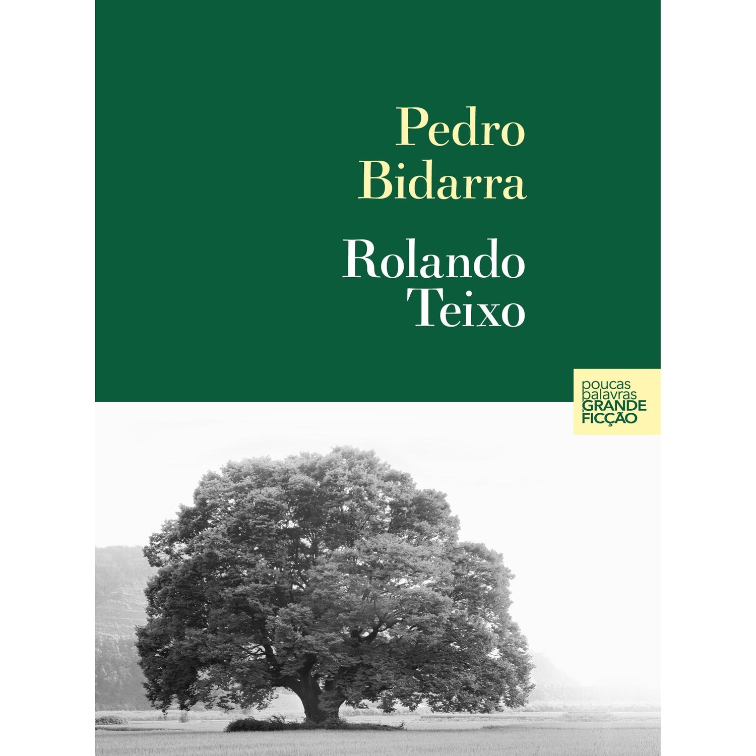 Rolando Teixo de Pedro Bidarra