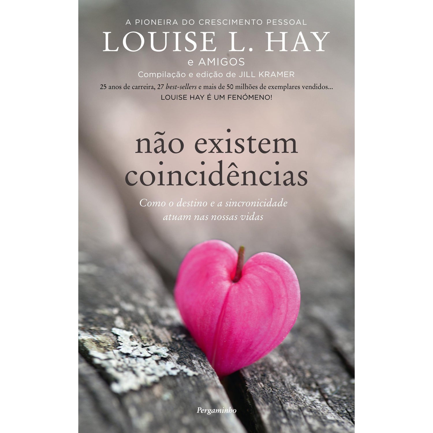 Não Existem Coincidências de Louise L. Hay