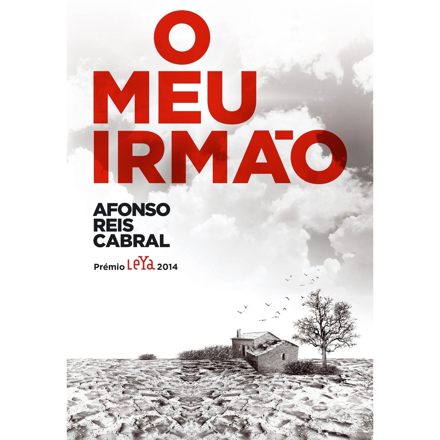O Meu Irmão de Afonso Reis Cabral