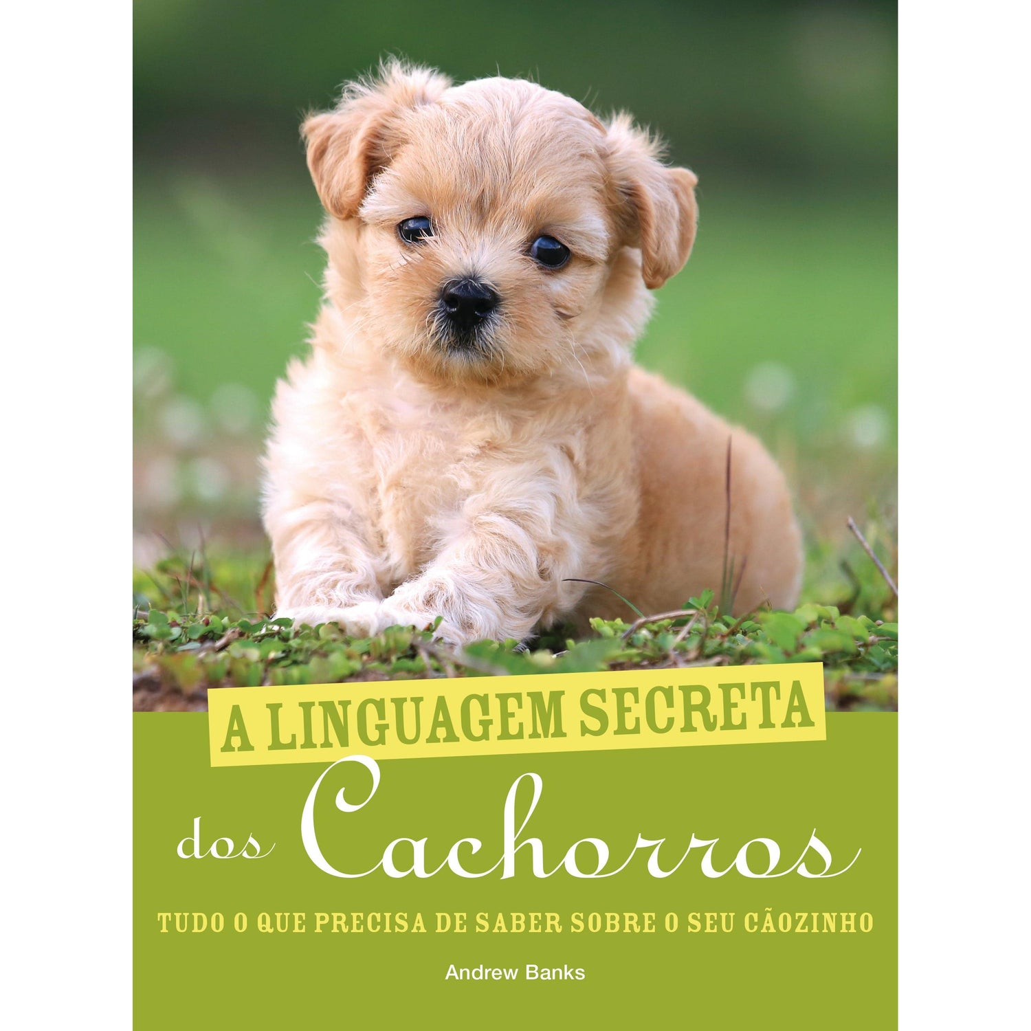 A Linguagem Secreta dos Cachorros de Andrew Banks