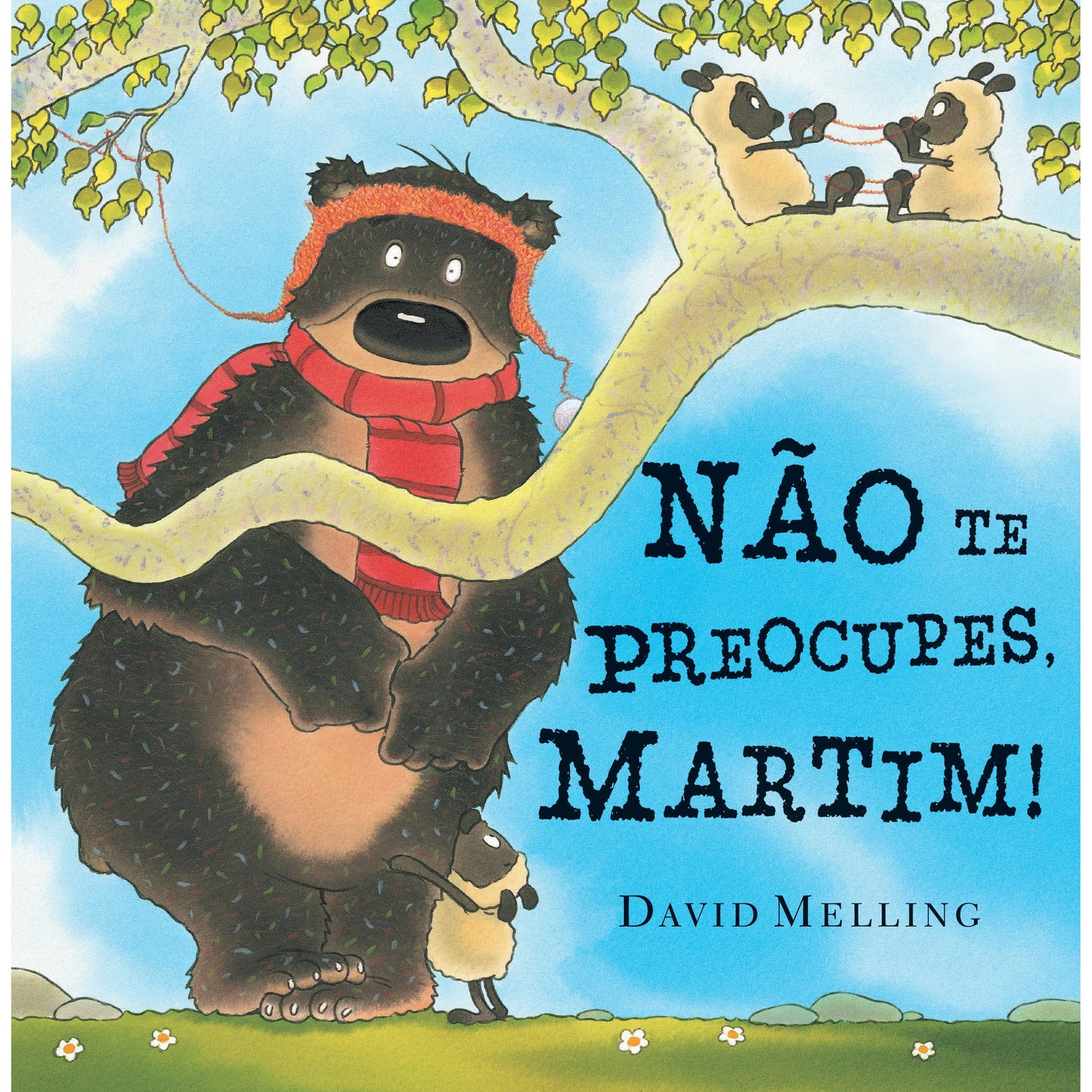 Não te Preocupes, Martim! de David Melling