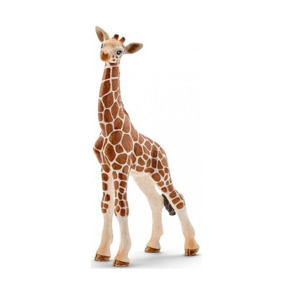 Girafa Cria