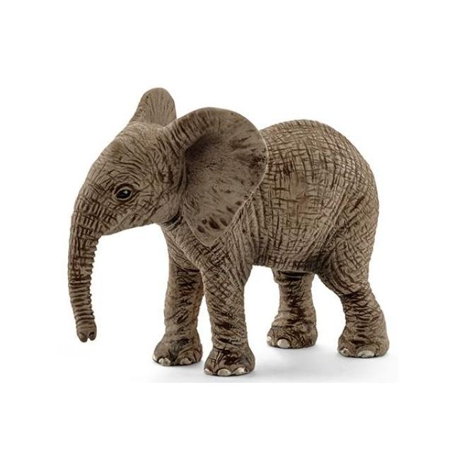 Elefante Africano Cria