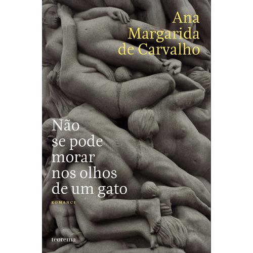 Não se Pode Morar nos Olhos de Um Gato de Ana Margarida de Carvalho