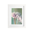 Moldura Básica 10 x 15cm Branca