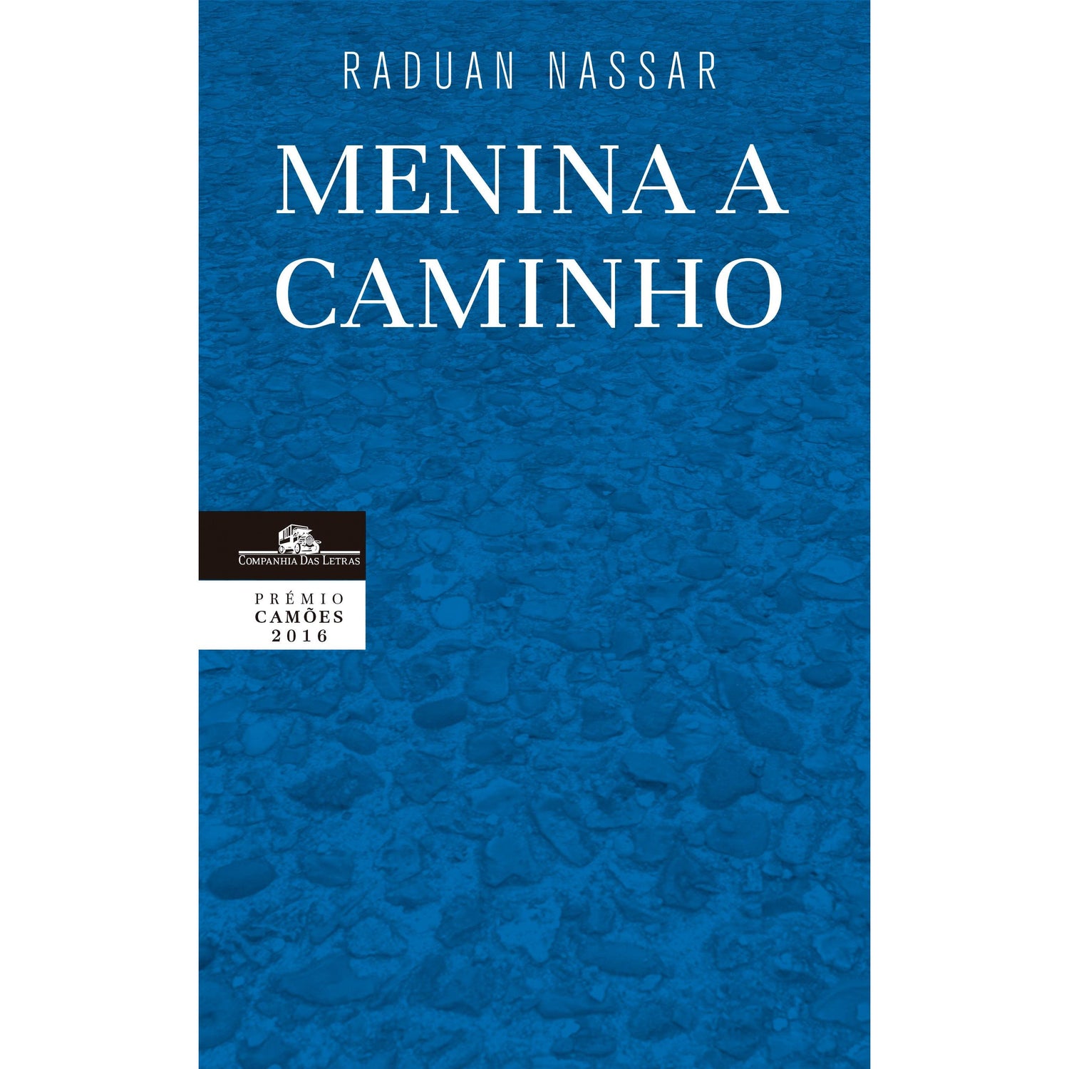 Menina a Caminho de Raduan Nassar