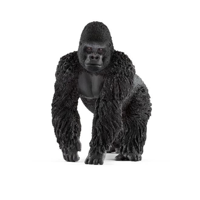 Gorila Macho