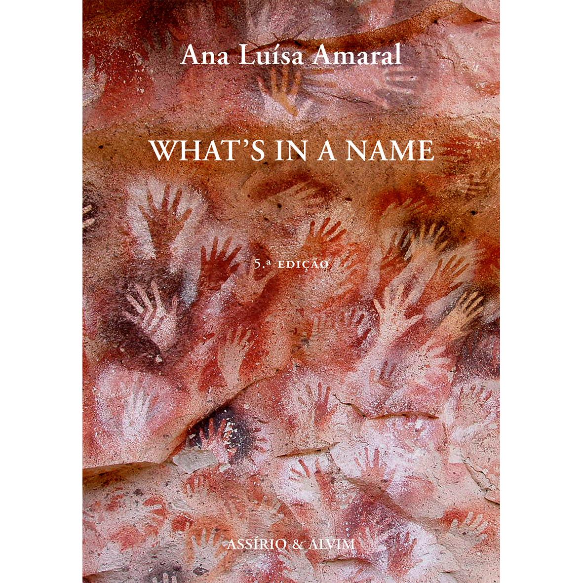 What's in a Name de Ana Luísa Amaral
