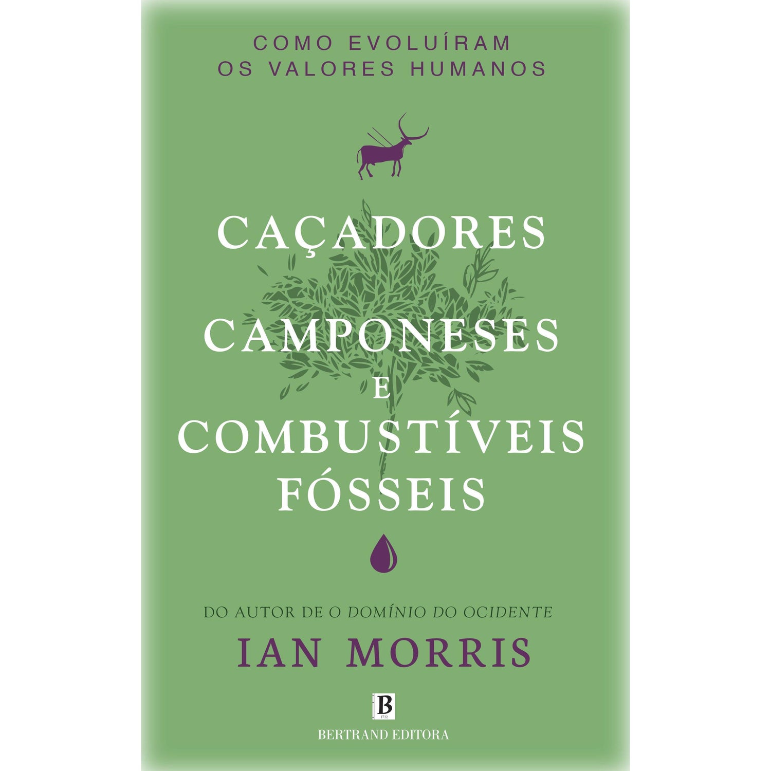 Caçadores, Camponeses e Combustíveis Fósseis de Ian Morris