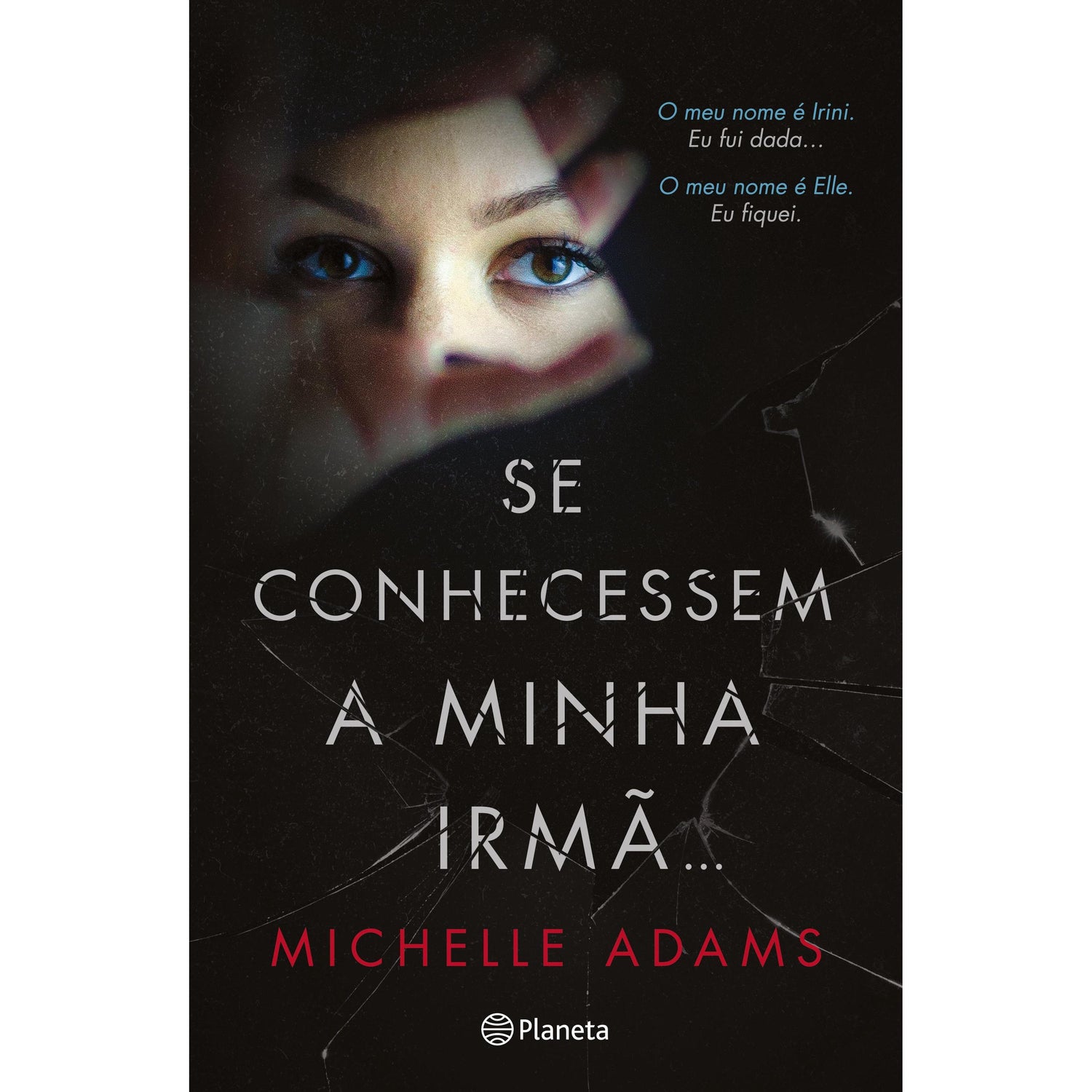 Se Conhecessem a Minha Irmã... de Michelle Adams