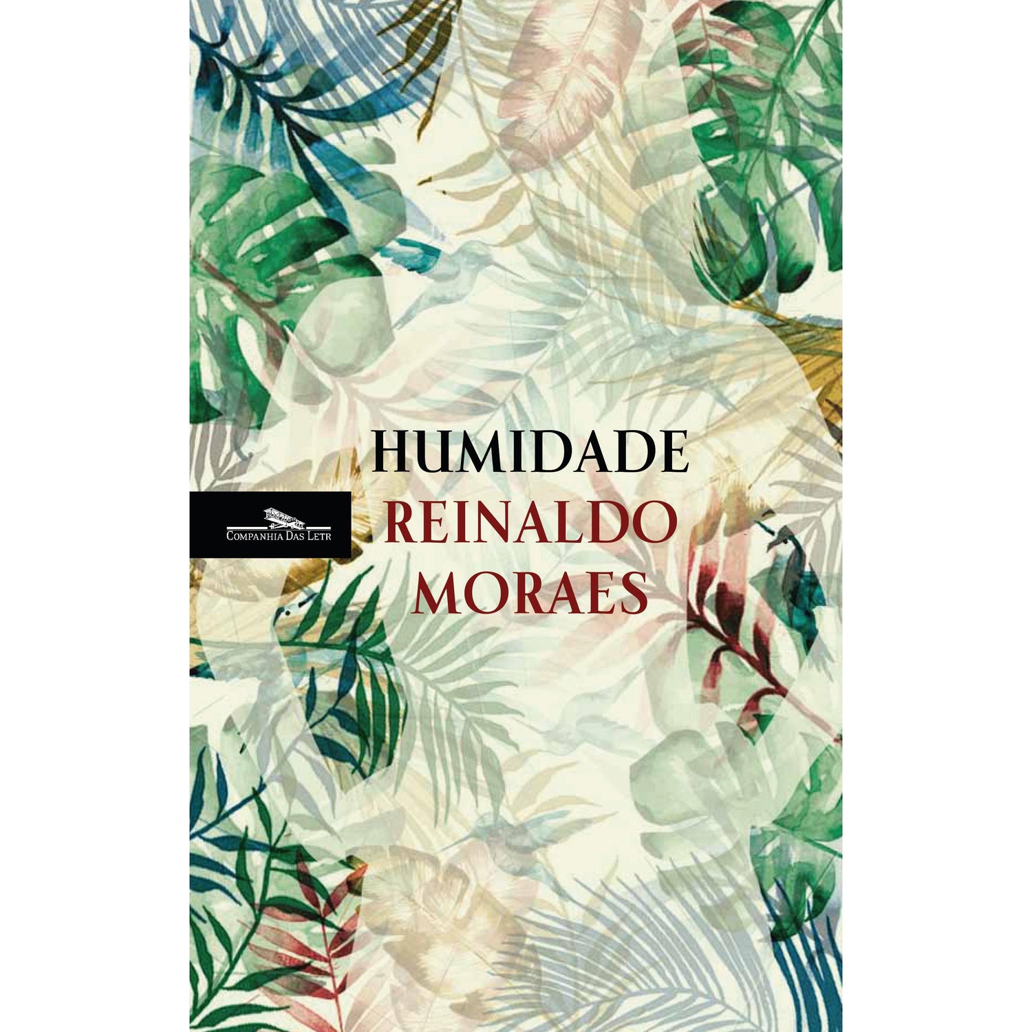 Humidade de Reinaldo Moraes