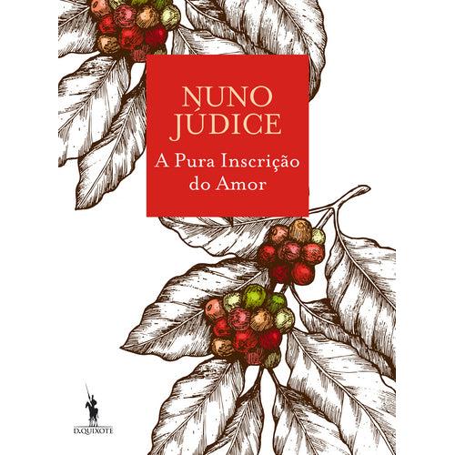 A Pura Inscrição do Amor de Nuno Júdice