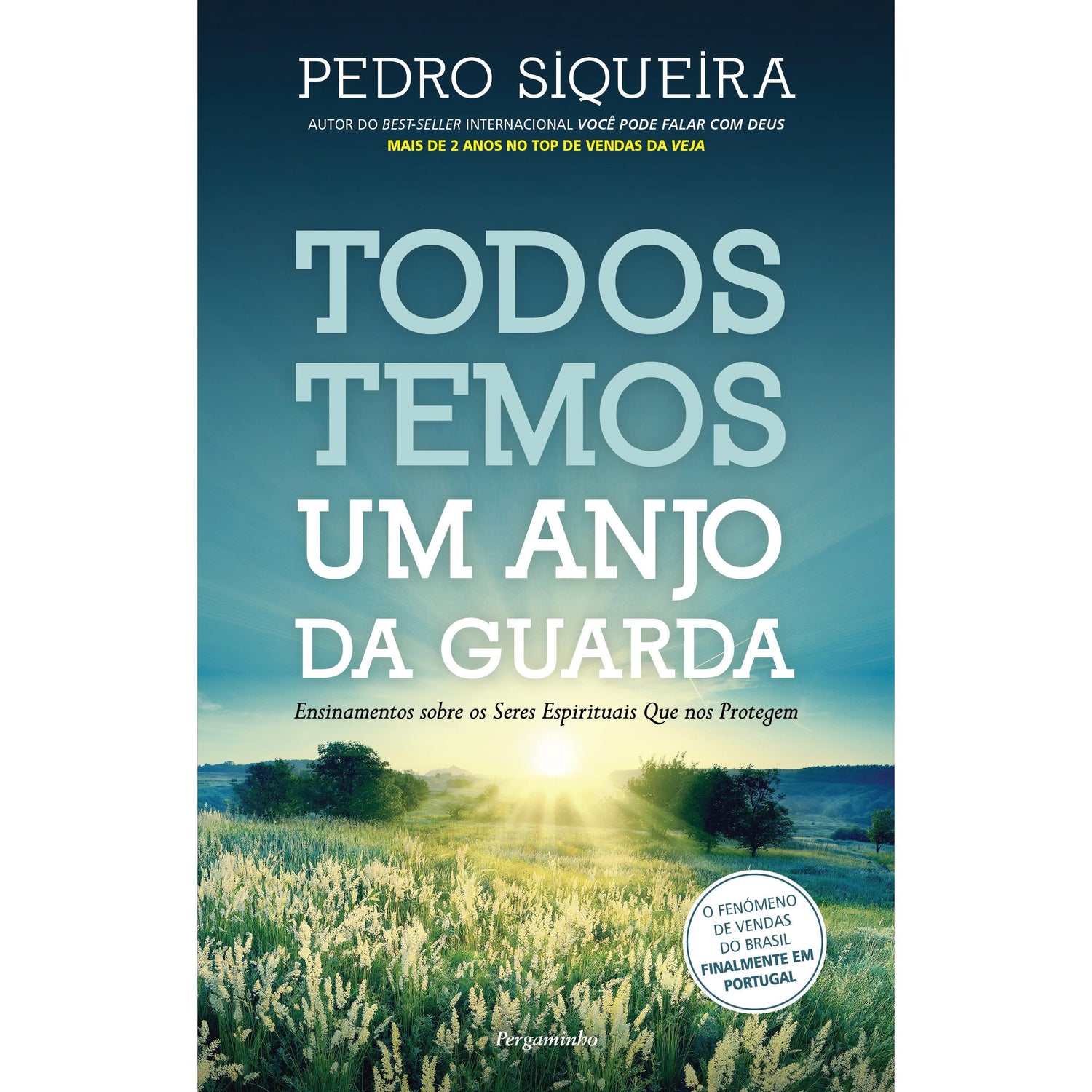 Todos Temos Um Anjo da Guarda de Pedro Siqueira