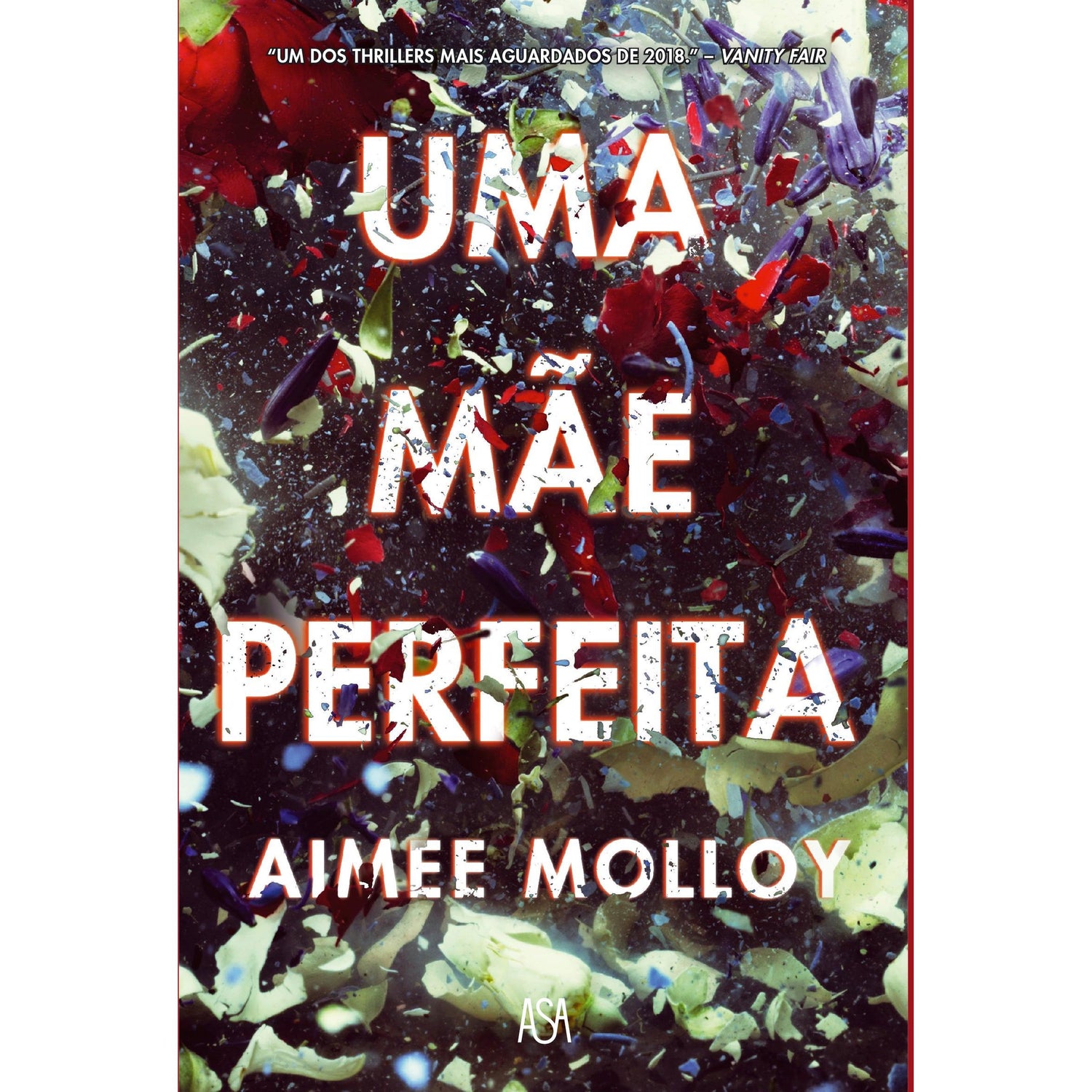 Uma Mãe Perfeita de Aimee Molloy