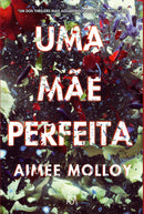 Uma Mãe Perfeita de Aimee Molloy