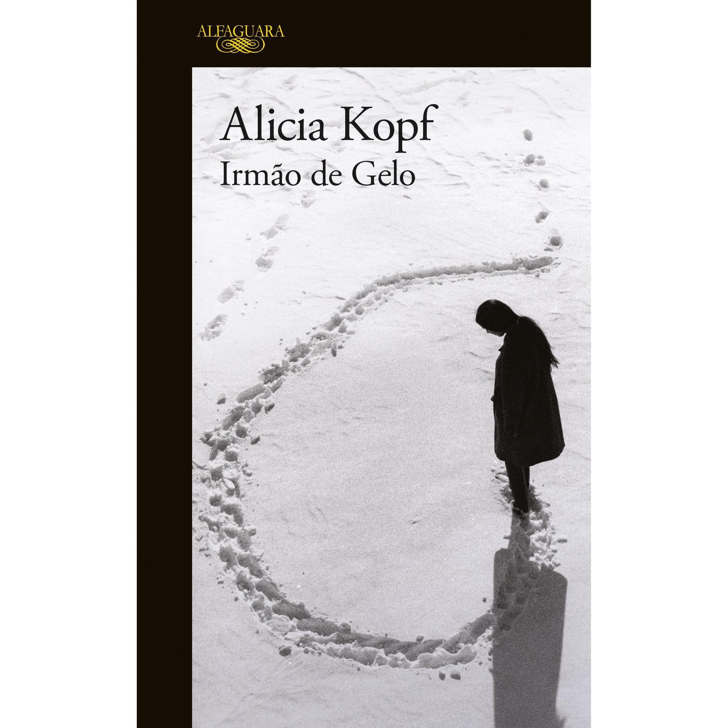 Irmão de Gelo de Alicia Kopf