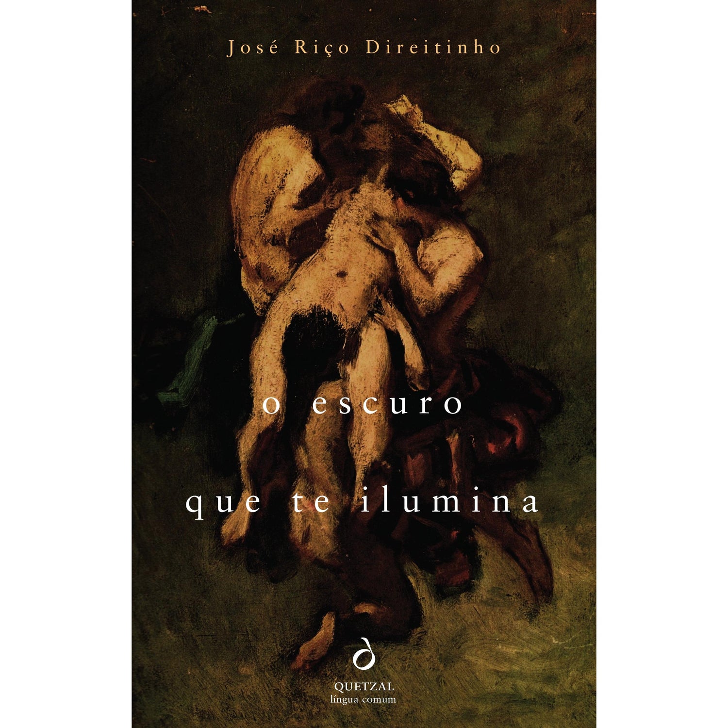O Escuro que te Ilumina de José Riço Direitinho