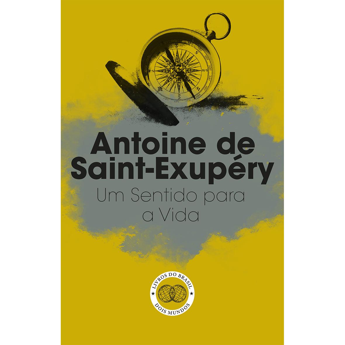 Um Sentido para a Vida de Antoine de Saint-Exupéry
