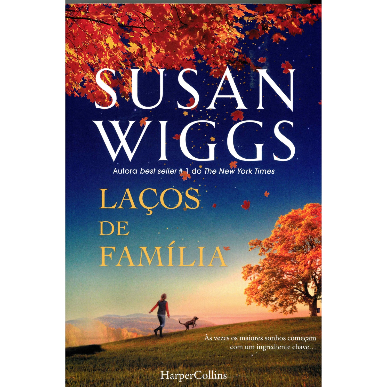 Laços de Família de Susan Wiggs