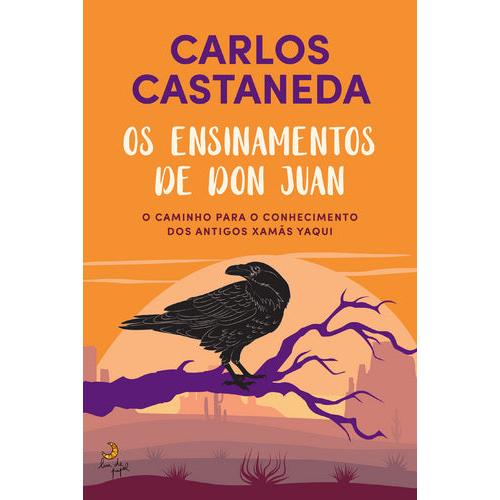 Os Ensinamentos de Don Juan de Carlos Castañeda