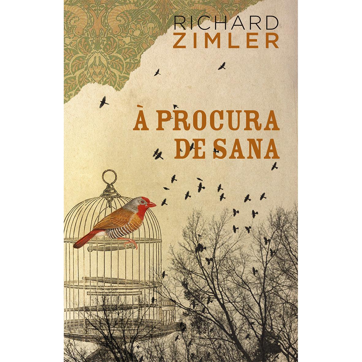 À Procura de Sana de Richard Zimler
