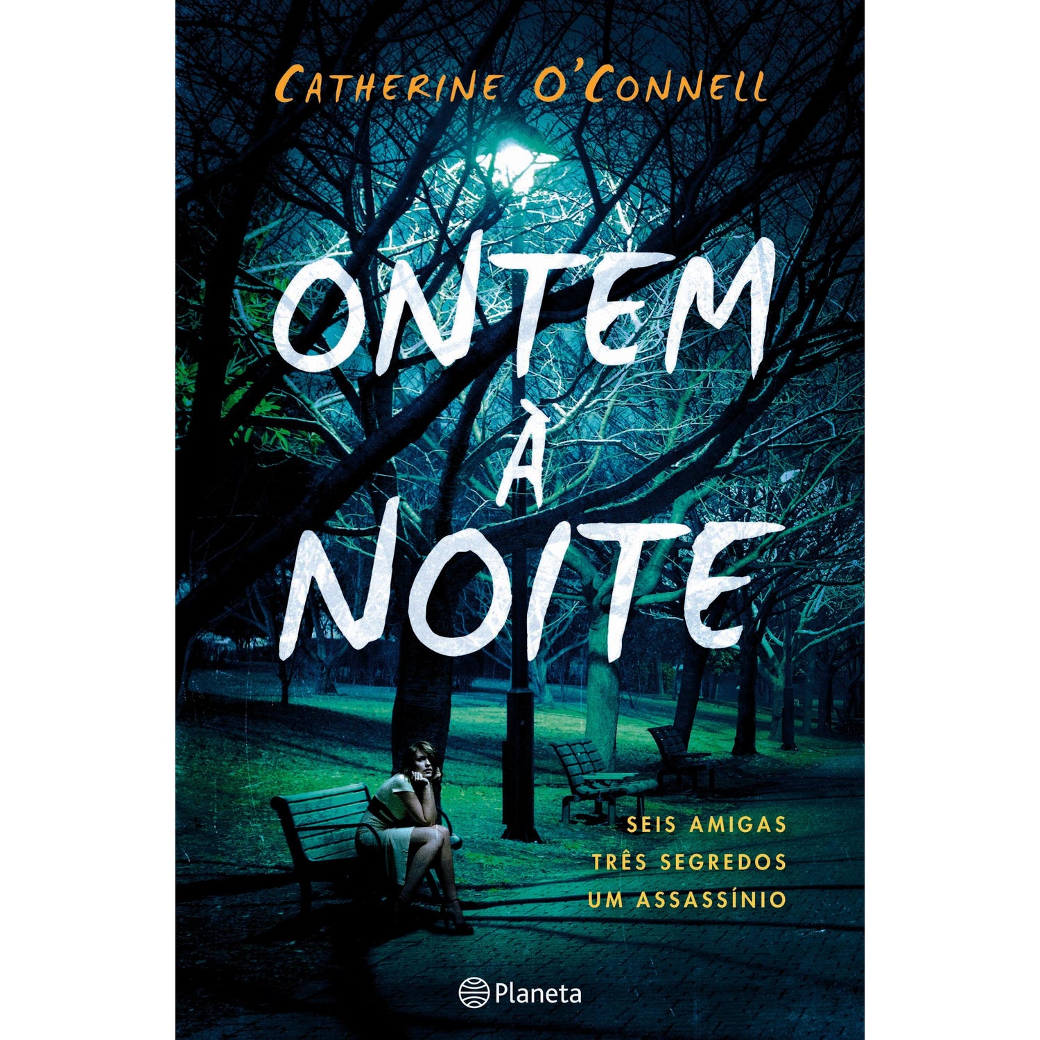 Ontem à Noite de Catherine O'Connell