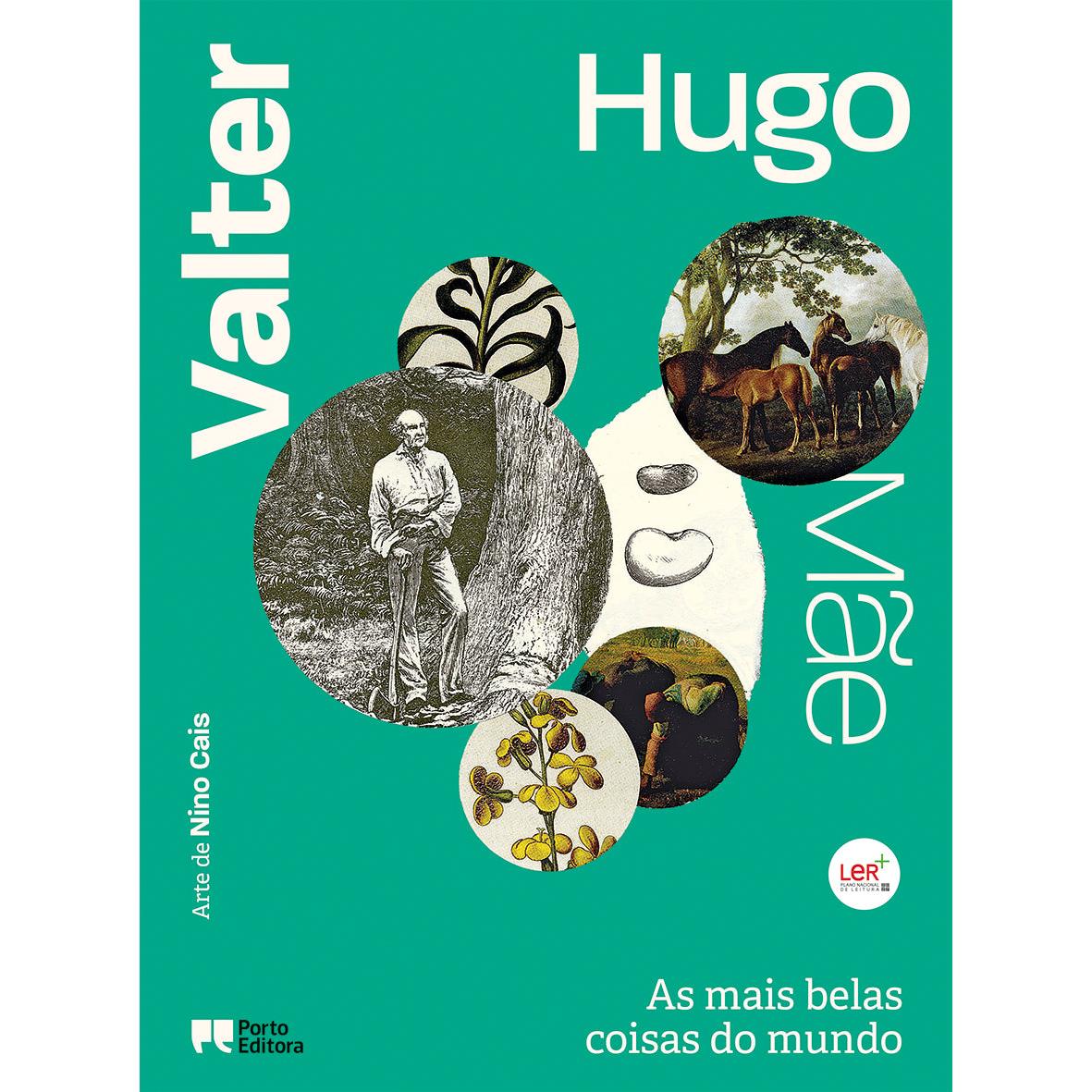 As Mais Belas Coisas do Mundo de Valter Hugo Mãe