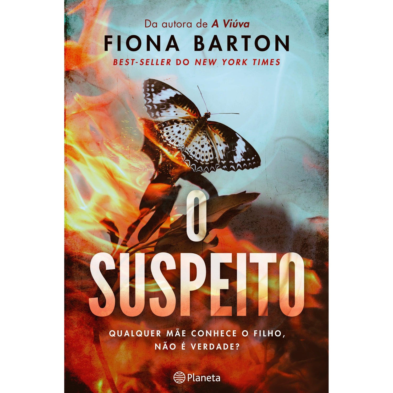 O Suspeito de Fiona Barton