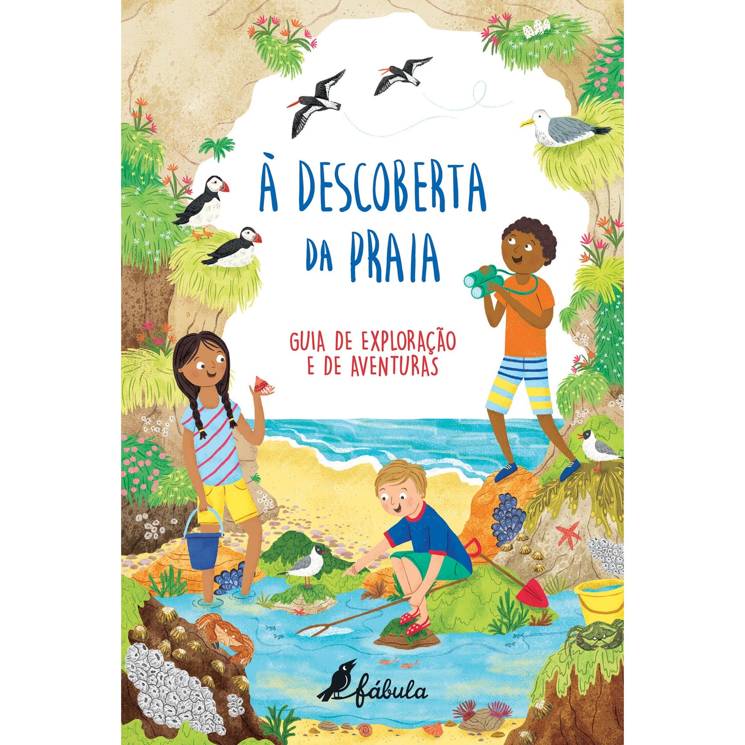 À Descoberta da Praia de Goldie Hawk