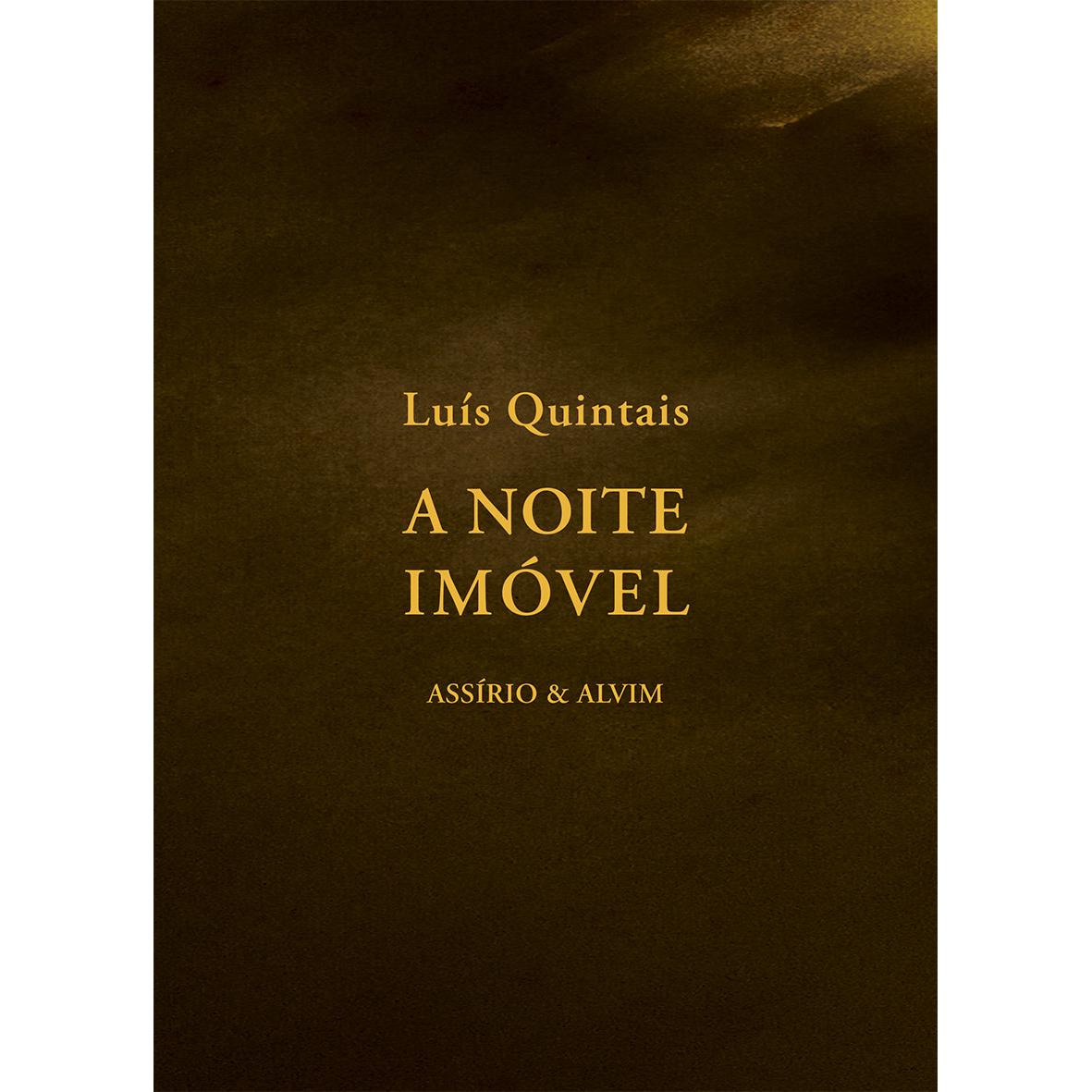 A Noite Imóvel de Luís Quintais