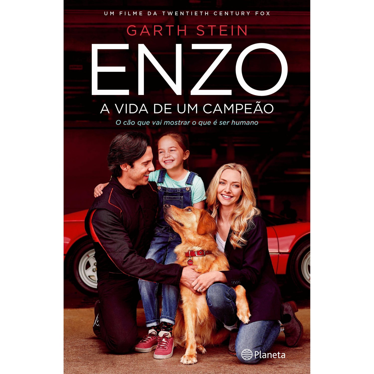 Enzo de Garth Stein