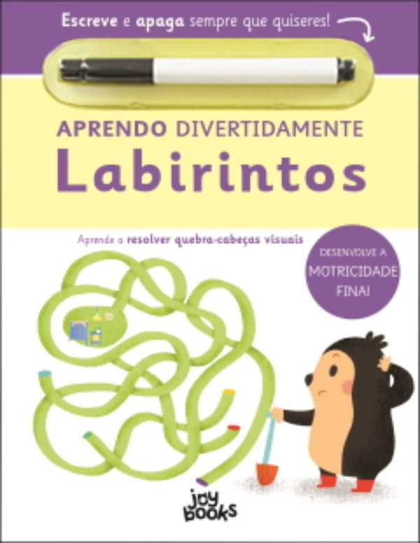 Aprendo Divertidamente - Labirintos de Elizabeth Golding - Aprende a Resolver Quebra-cabeças Visuais