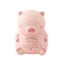 Porquinho Mealheiro Coisas Maravilhosas