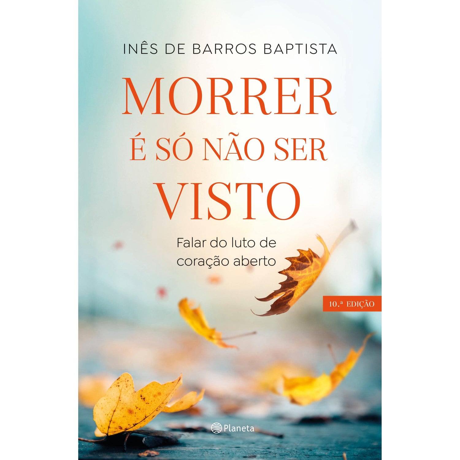 Morrer é Só Não Ser Visto de Inês de Barros Baptista