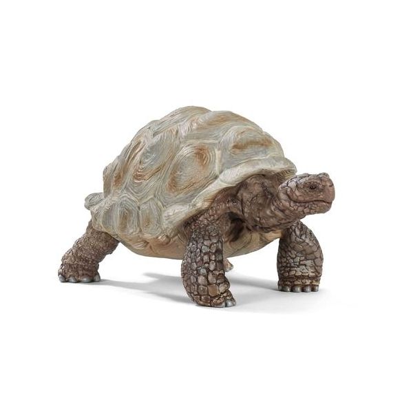 Tartaruga Gigante Schleich