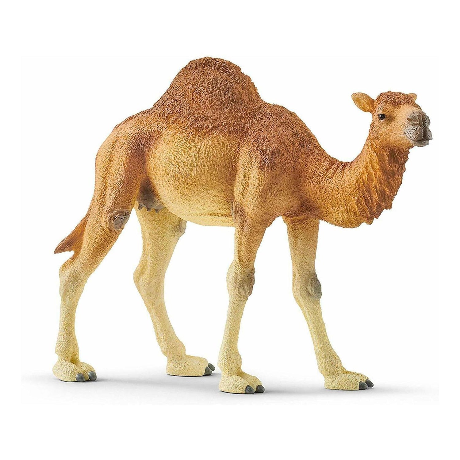 Dromedário Schleich