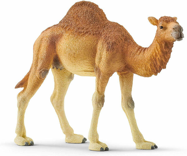 Dromedário Schleich