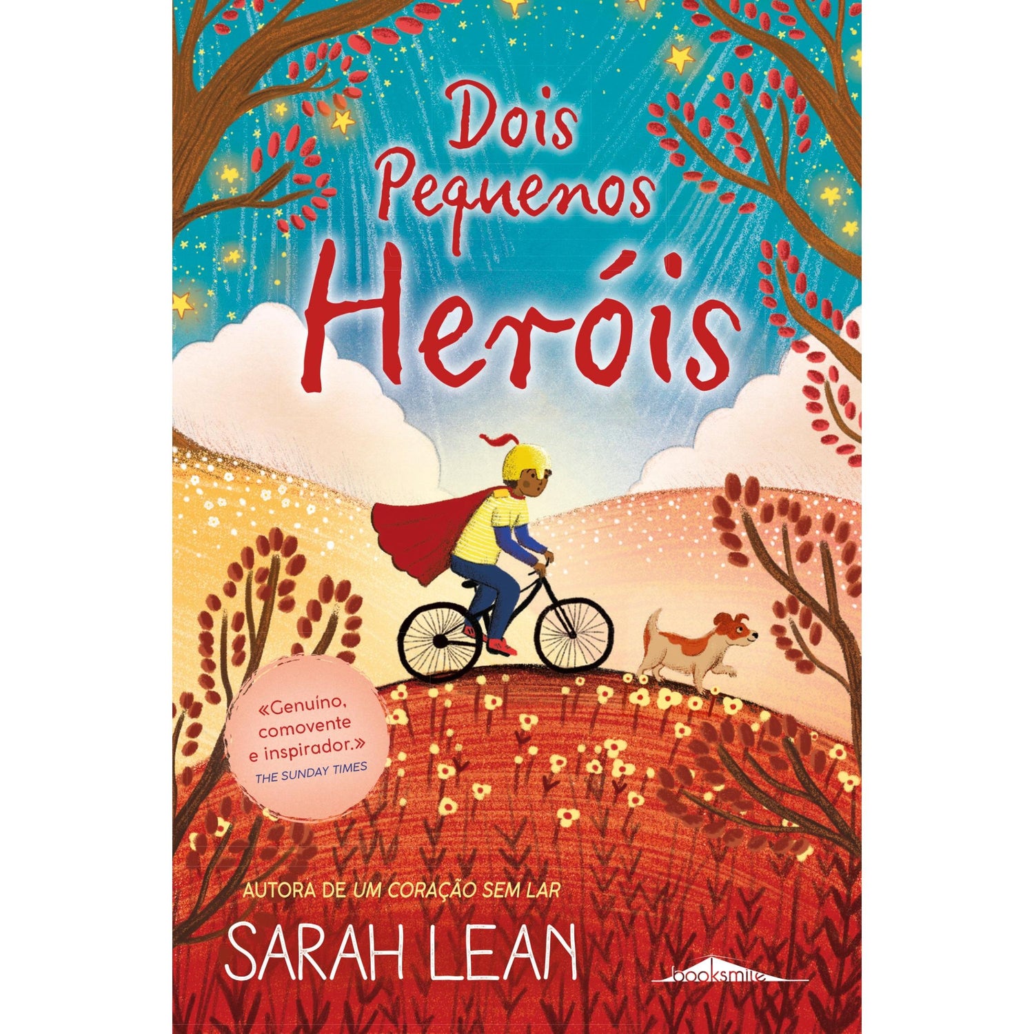 Dois Pequenos Heróis de Sarah Lean