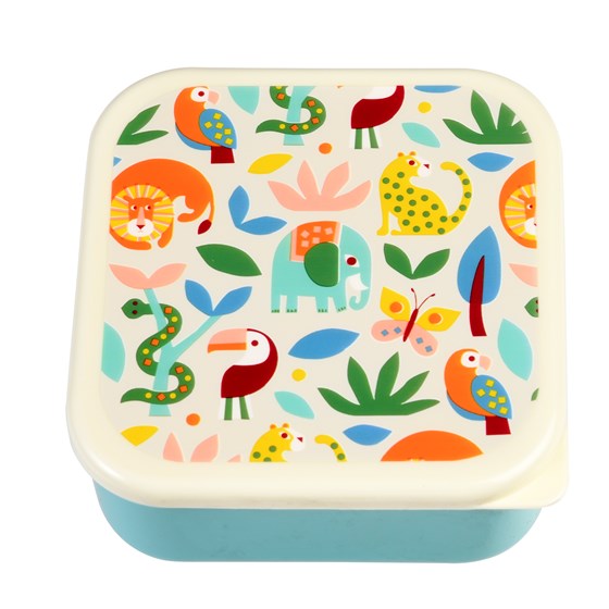 Conjunto 3 Caixa Lanche - Wild Wonders