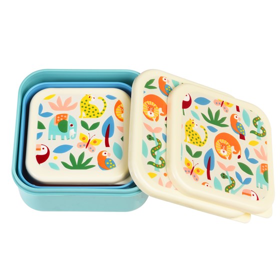 Conjunto 3 Caixa Lanche - Wild Wonders