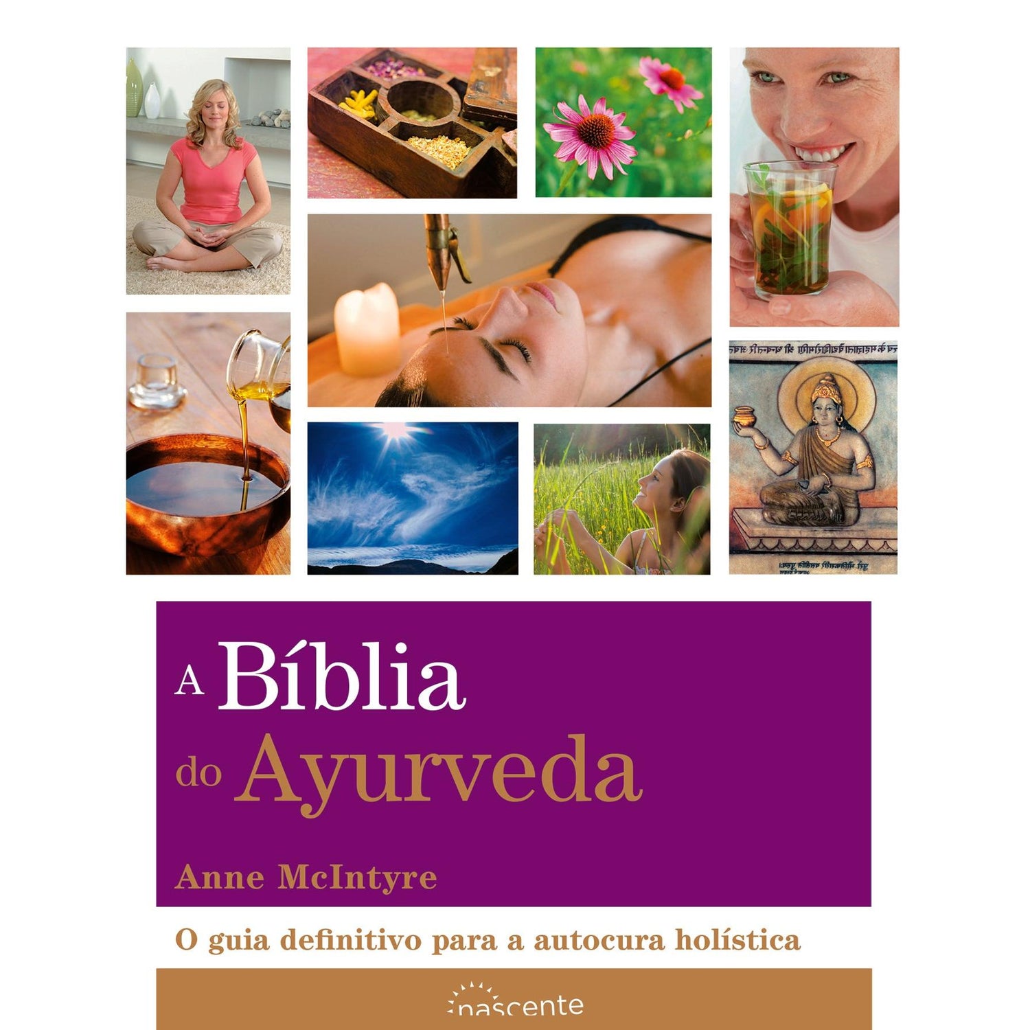 A Bíblia do Ayurveda de Anne McIntyre